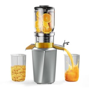 Extracteur de Jus Froid Fyenkfar Slow Juicer Électrique, Préserve Nutriments et Saveurs, Idéal pour Boissons Saines, Facile à Nettoyer, Pour Amateurs de Santé (Gris Fer) : Cuisine et Maison