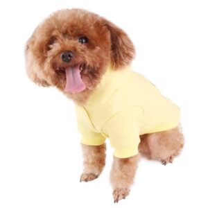Vêtements d'automne et d'hiver casuals et chauds pour animaux de compagnie, Style : 016