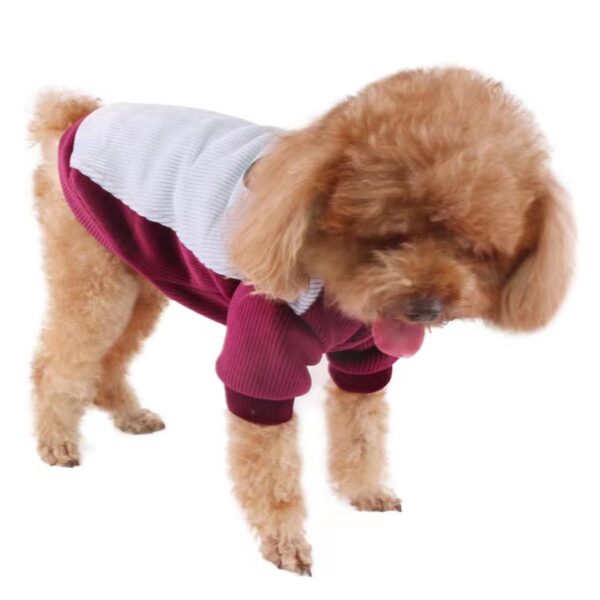 Vêtements d'automne et d'hiver casuals et chauds pour animaux de compagnie, Style : 020 – Image 2