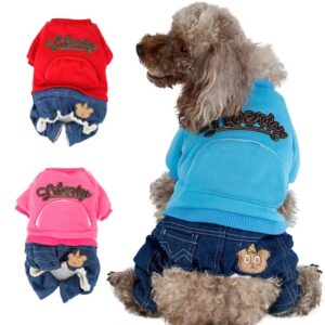 Vêtements d'automne et d'hiver casuals et chauds pour animaux de compagnie, Style : 021